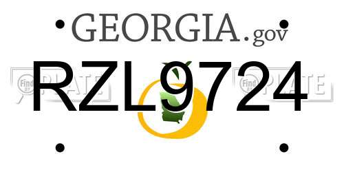 RZL9724 Georgia License Plate