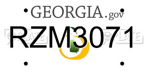 RZM3071 Georgia License Plate