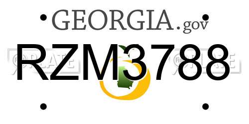 RZM3788 Georgia License Plate