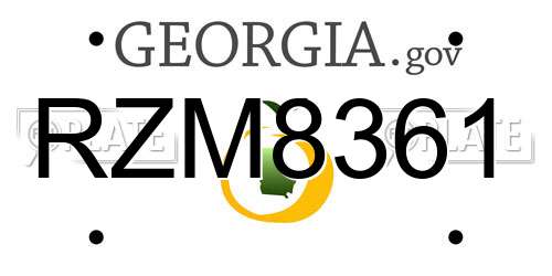 RZM8361 Georgia License Plate