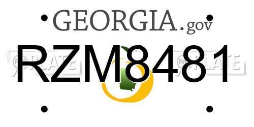 RZM8481 Georgia License Plate