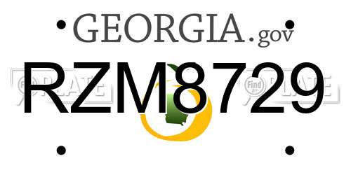 RZM8729 Georgia License Plate