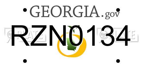 RZN0134 Georgia License Plate