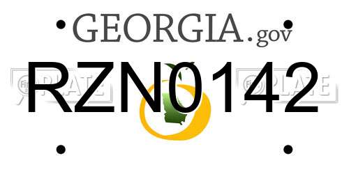 RZN0142 Georgia License Plate