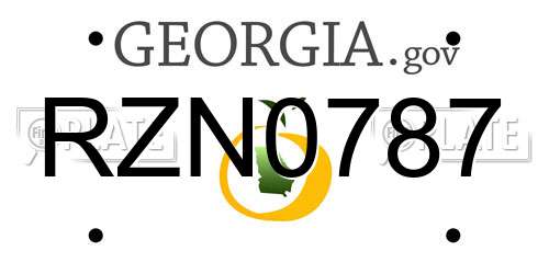 RZN0787 Georgia License Plate