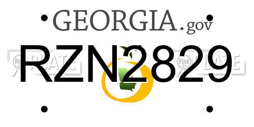 RZN2829 Georgia License Plate