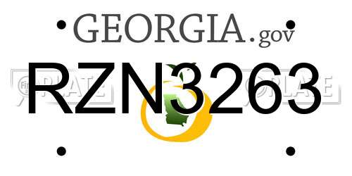 RZN3263 Georgia License Plate