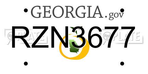 RZN3677 Georgia License Plate