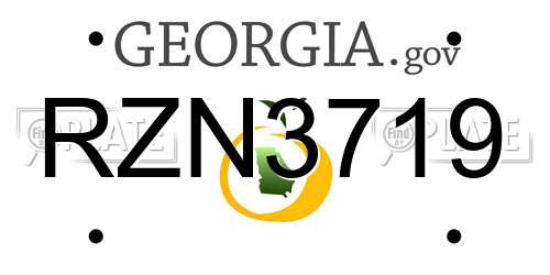 RZN3719 Georgia License Plate