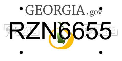 RZN6655 Georgia License Plate