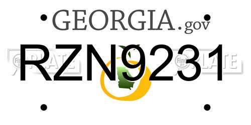 RZN9231 Georgia License Plate