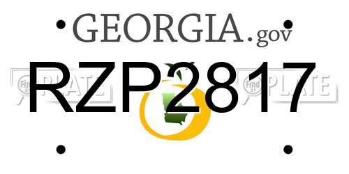 RZP2817 Georgia License Plate