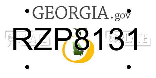RZP8131 Georgia License Plate