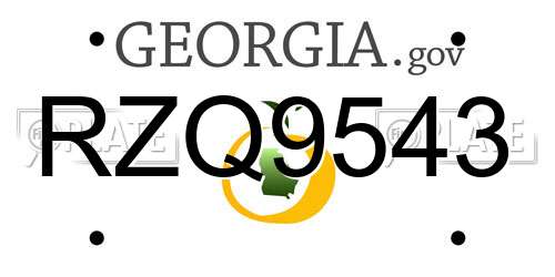 RZQ9543 Georgia License Plate
