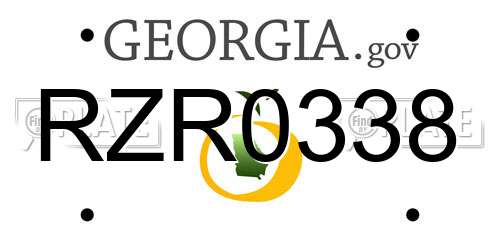 RZR0338 Georgia License Plate