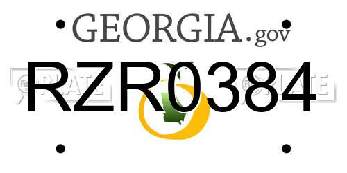 RZR0384 Georgia License Plate
