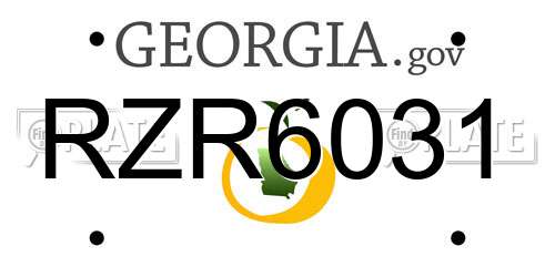 RZR6031 Georgia License Plate