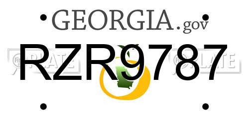RZR9787 Georgia License Plate
