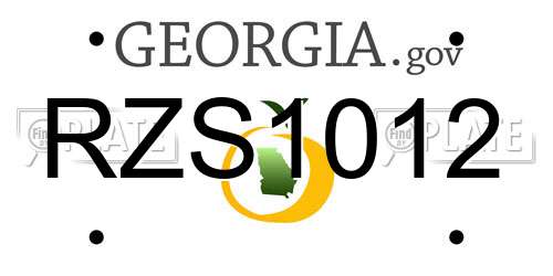 RZS1012 Georgia License Plate