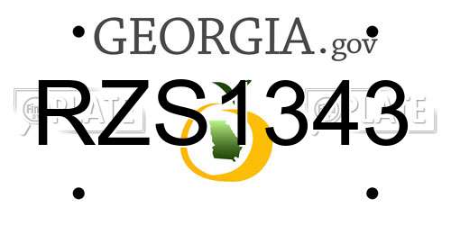 RZS1343 Georgia License Plate