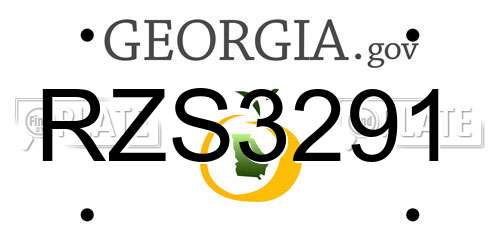 RZS3291 Georgia License Plate
