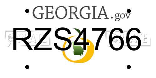RZS4766 Georgia License Plate