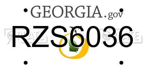 RZS6036 Georgia License Plate