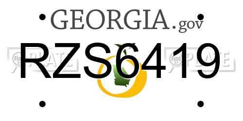 RZS6419 Georgia License Plate