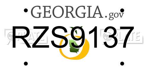 RZS9137 Georgia License Plate