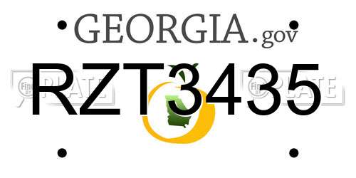 RZT3435 Georgia License Plate