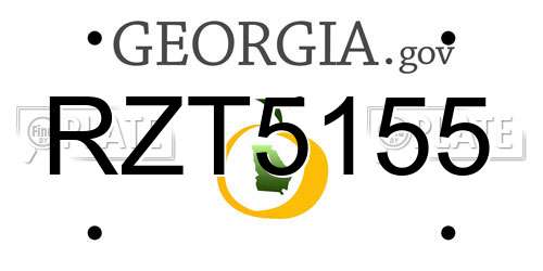 RZT5155 Georgia License Plate