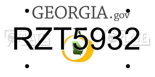 RZT5932 Georgia License Plate