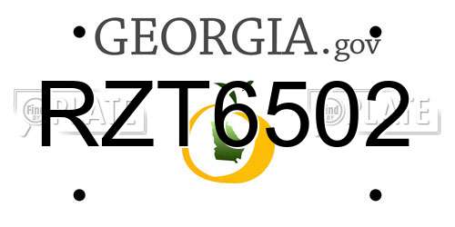 RZT6502 Georgia License Plate