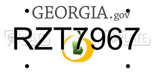 RZT7967 Georgia License Plate