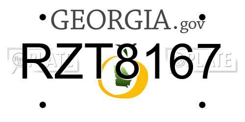 RZT8167 Georgia License Plate