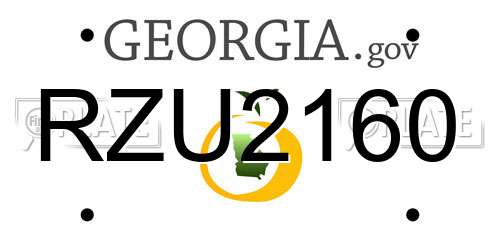 RZU2160 Georgia License Plate