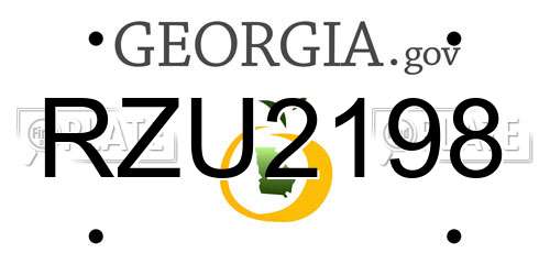 RZU2198 Georgia License Plate