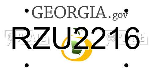 RZU2216 Georgia License Plate