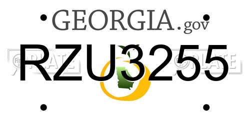 RZU3255 Georgia License Plate