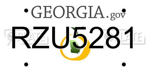 RZU5281 Georgia License Plate
