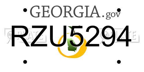 RZU5294 Georgia License Plate