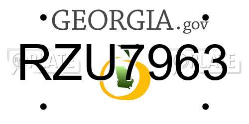 RZU7963 Georgia License Plate