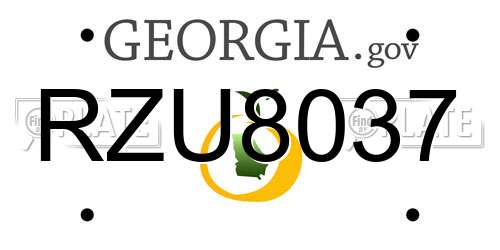 RZU8037 Georgia License Plate