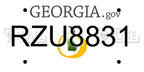 RZU8831 Georgia License Plate