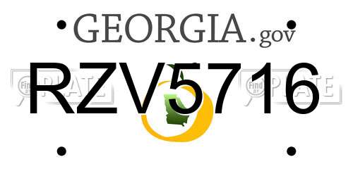 RZV5716 Georgia License Plate