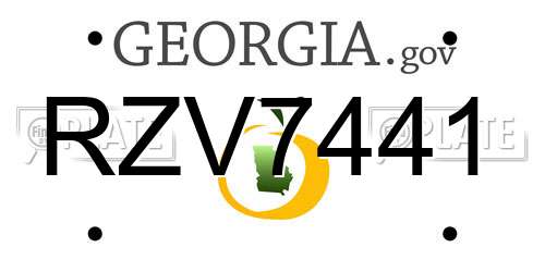 RZV7441 Georgia License Plate