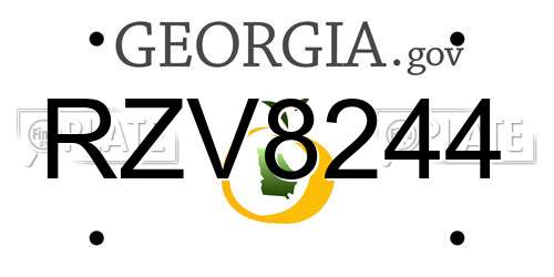 RZV8244 Georgia License Plate