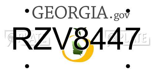 RZV8447 Georgia License Plate