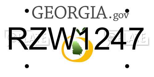 RZW1247 Georgia License Plate