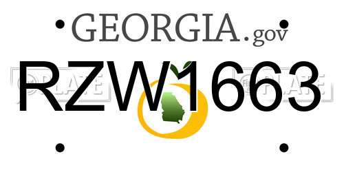 RZW1663 Georgia License Plate